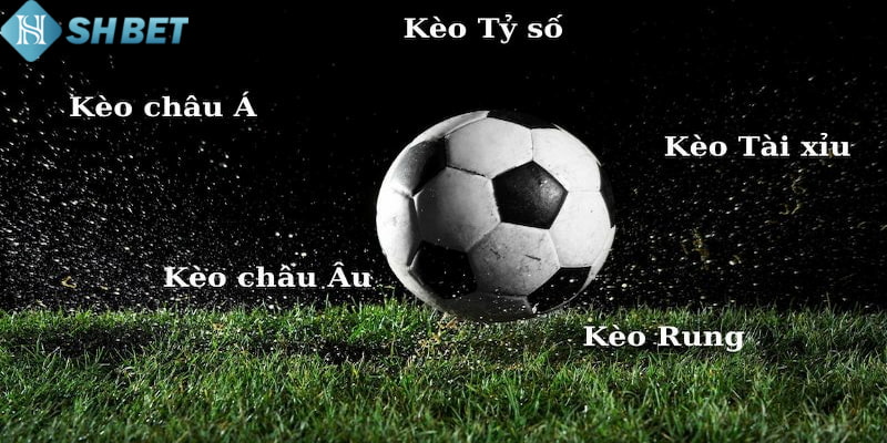 Người chơi sẽ có nhiều loại kèo khác nhau để đặt cược